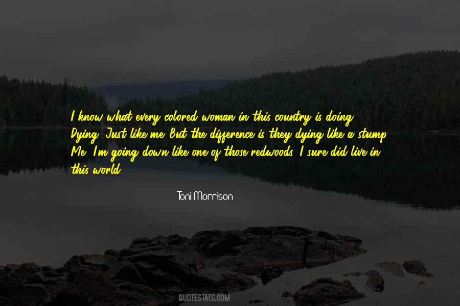 Quotes About Dying For Your Country #1668532