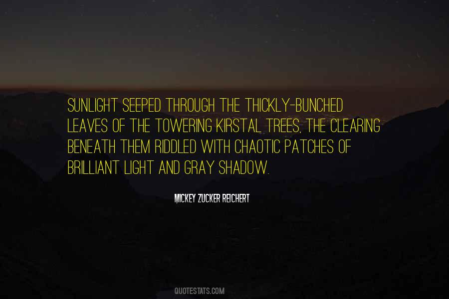 Quotes About Light And Shadow #263880