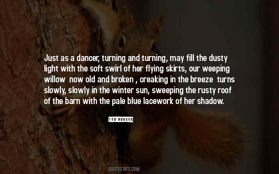Quotes About Light And Shadow #310481