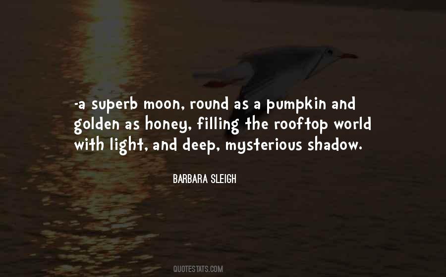 Quotes About Light And Shadow #435211