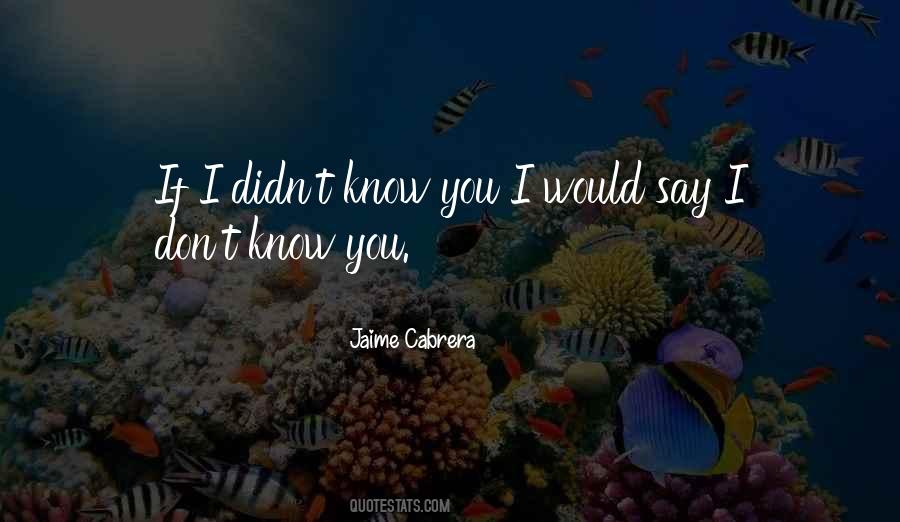 Quotes About Not Knowing What To Say To Someone #72258