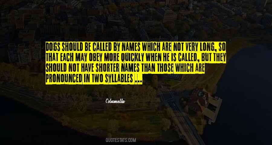 Quotes About Empty Voids #1507808