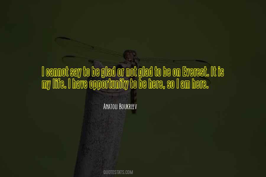 Boukreev Everest Quotes #403190