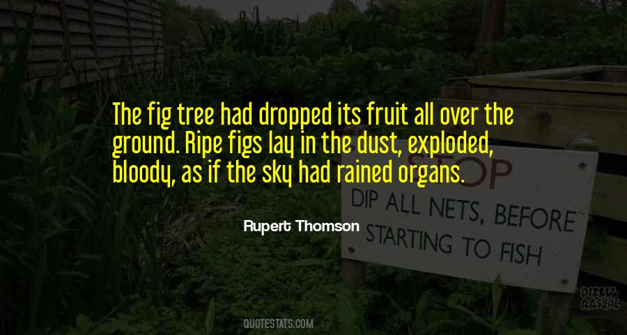 Quotes About Figs #93171