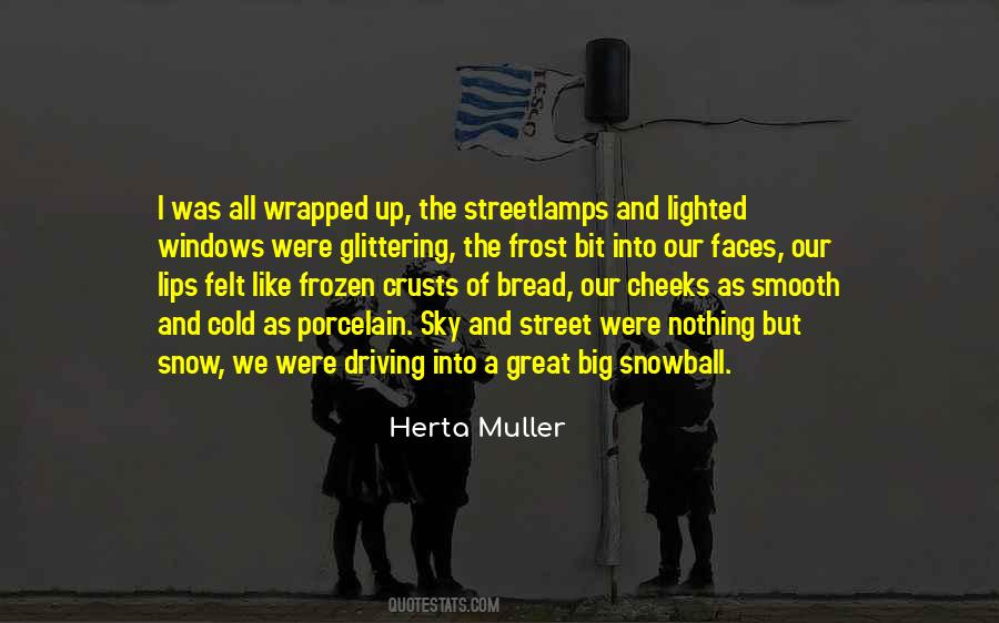 Quotes About Cold And Snow #1427212
