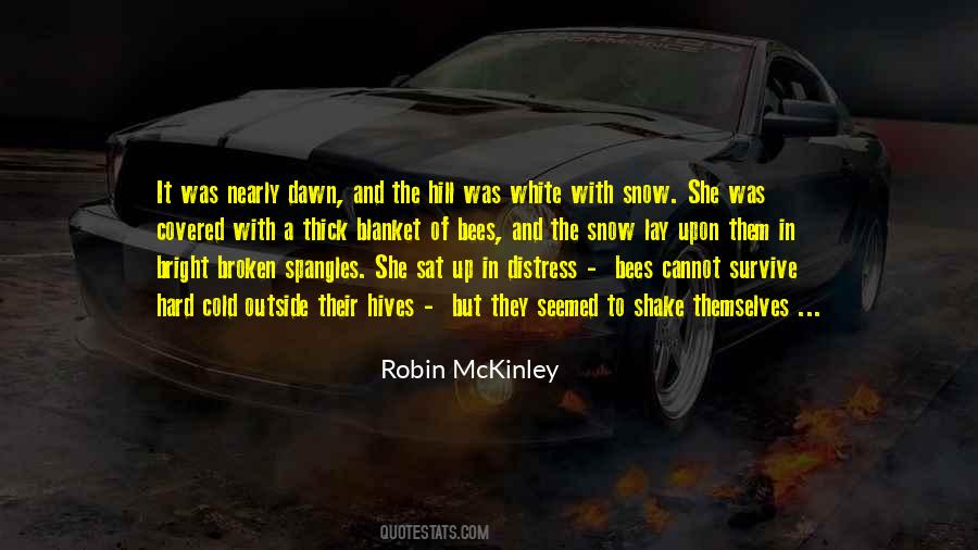 Quotes About Cold And Snow #930910