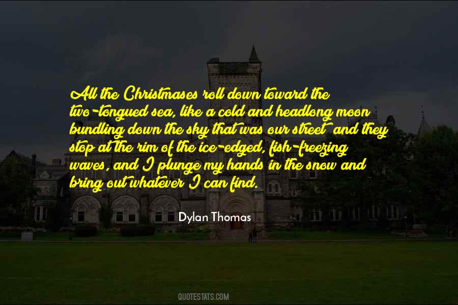 Quotes About Cold And Snow #971916