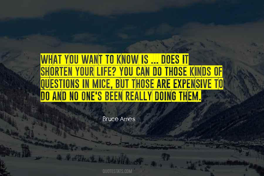 Quotes About Questions In Life #491519