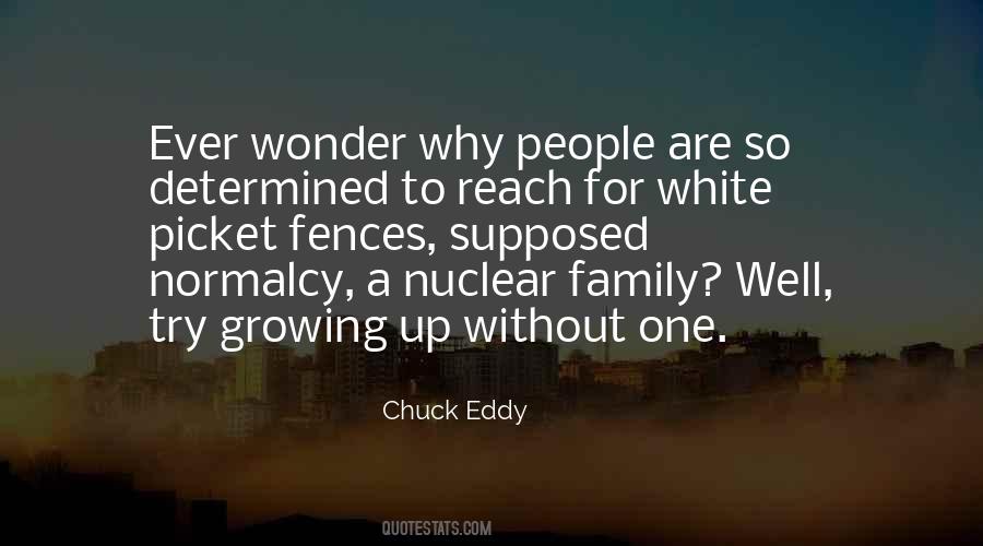 Quotes About Nuclear Family #1609822