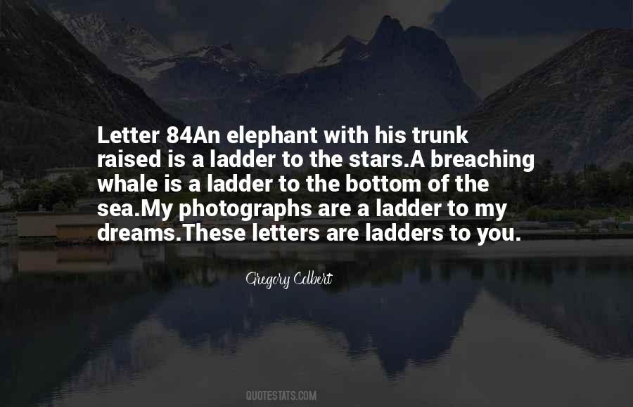 Breaching Whale Quotes #551112