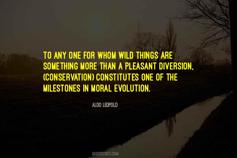 Wild One Quotes #347226
