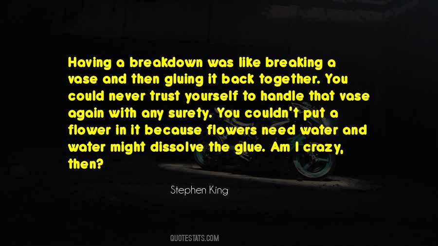Quotes About Breaking Trust #375688