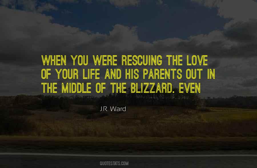 Quotes About Love Of Your Life #485047