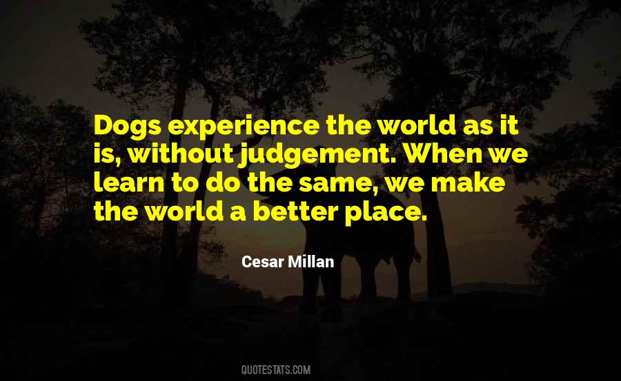 Experience Is Better Quotes #804395