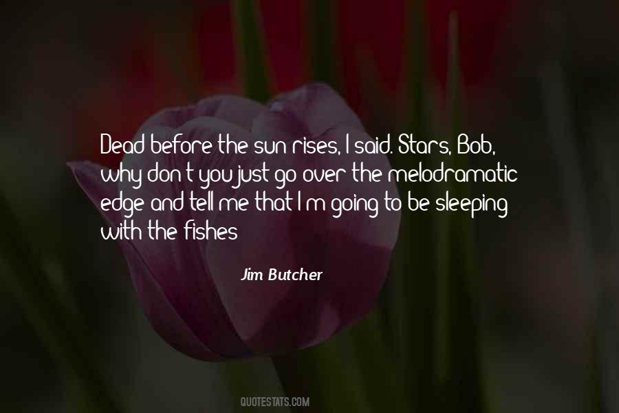 Quotes About Sleeping Under The Stars #285220