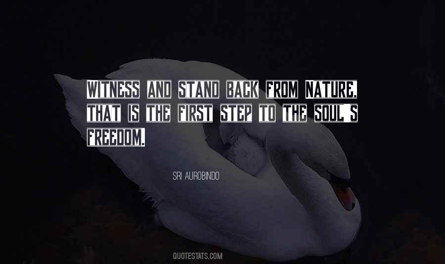 Quotes About The Soul And Nature #254528