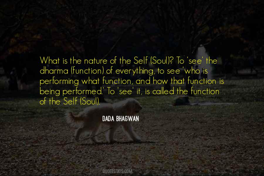 Quotes About The Soul And Nature #441357