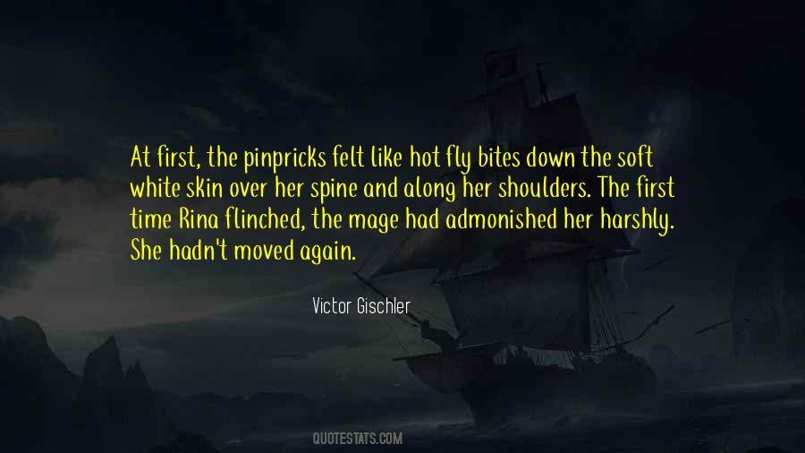 Keitaro Nagame Quotes #305996