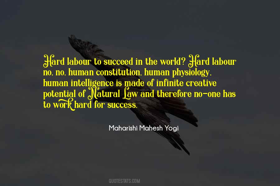 Quotes About Hard Work To Success #545398