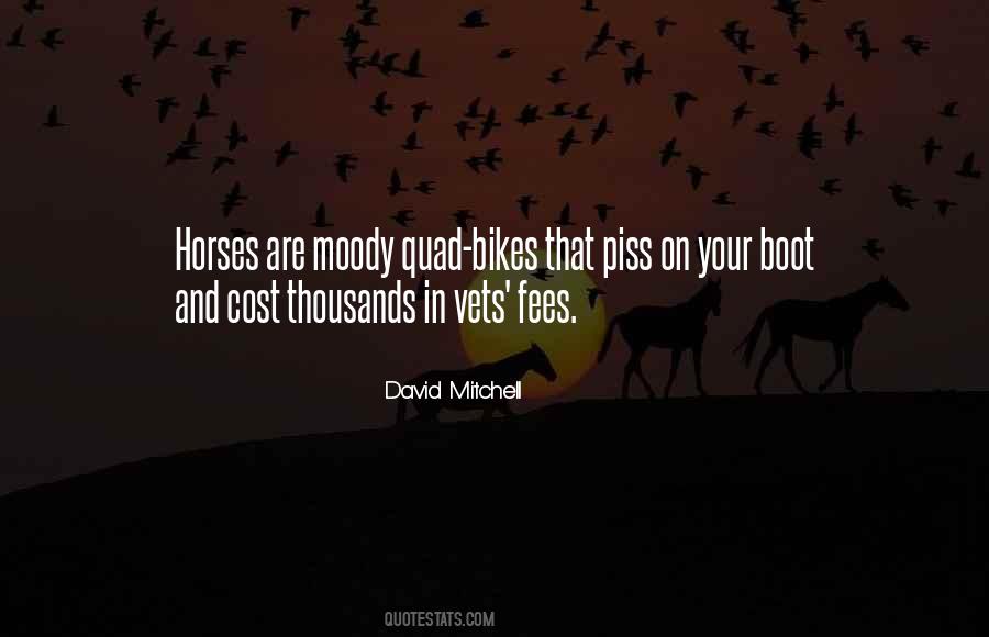 Quotes About Bikes #1204116