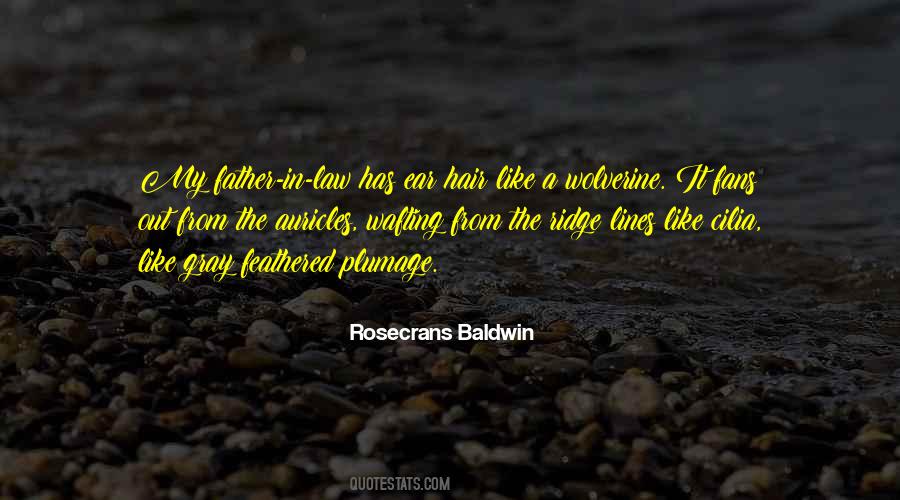 Quotes About Father In Law #1504685