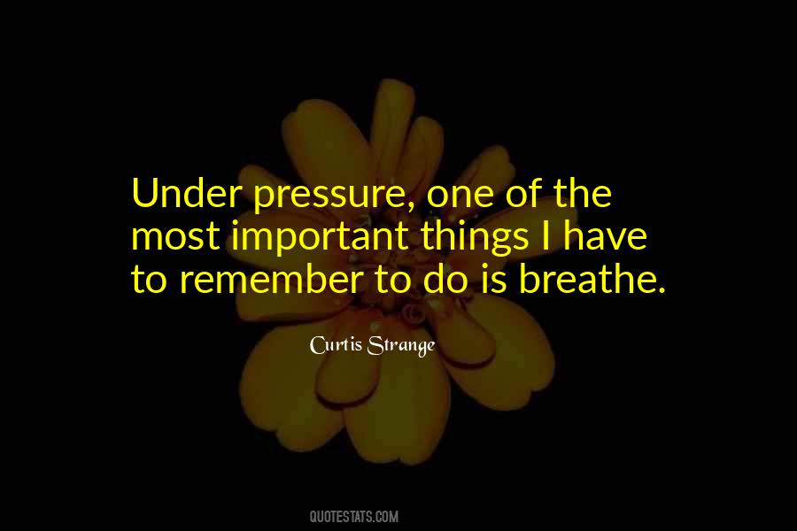 Remember To Breathe Quotes #253867