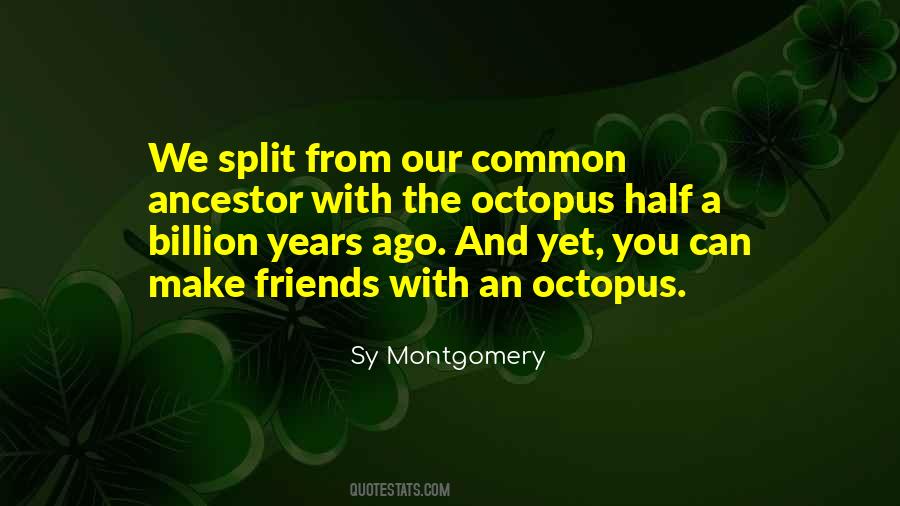 Quotes About Octopus #1776246