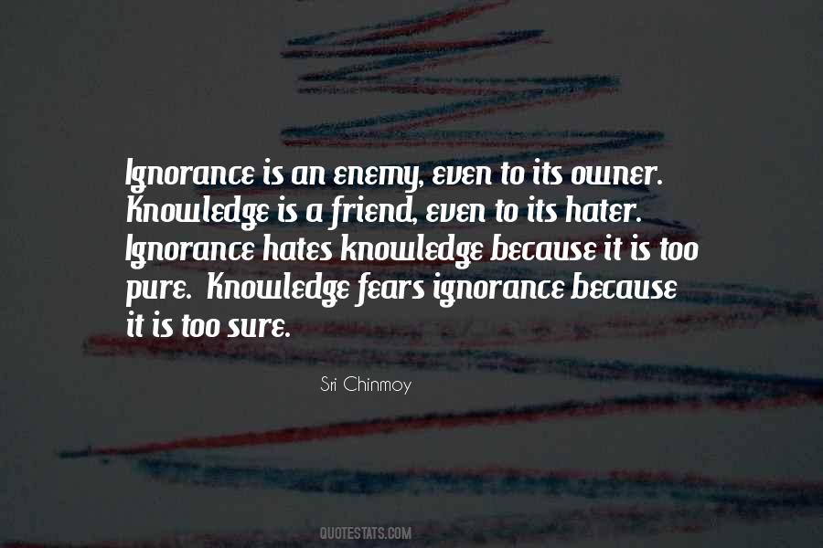 Pure Ignorance Quotes #1524698