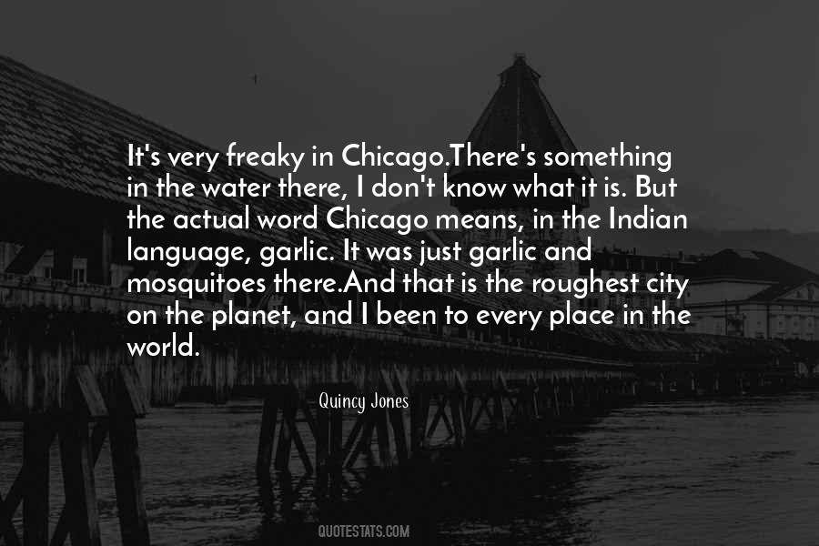 Quotes About The City Chicago #382028