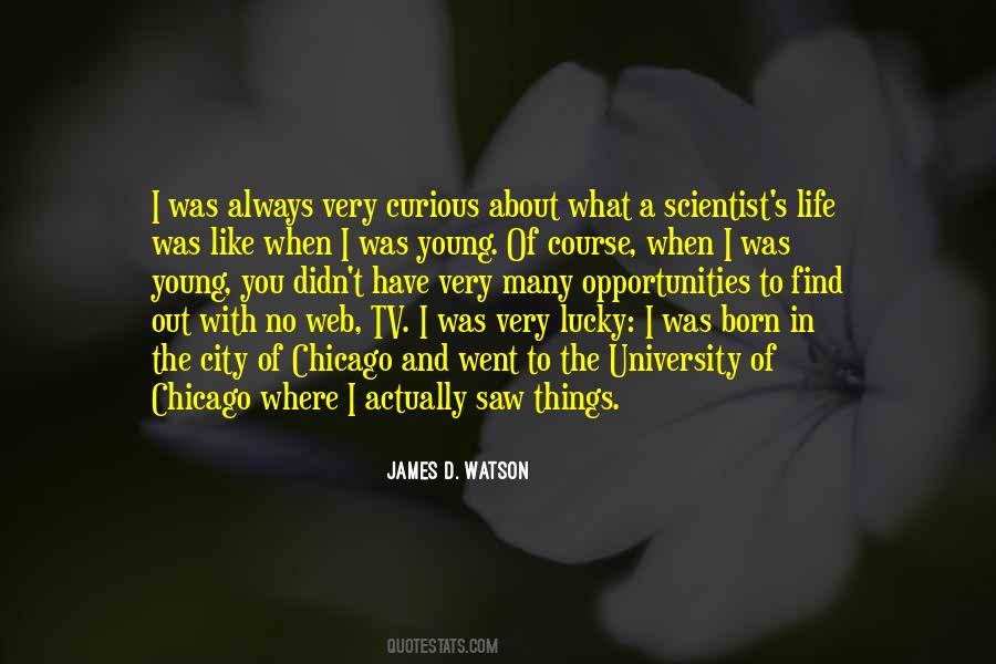 Quotes About The City Chicago #843383