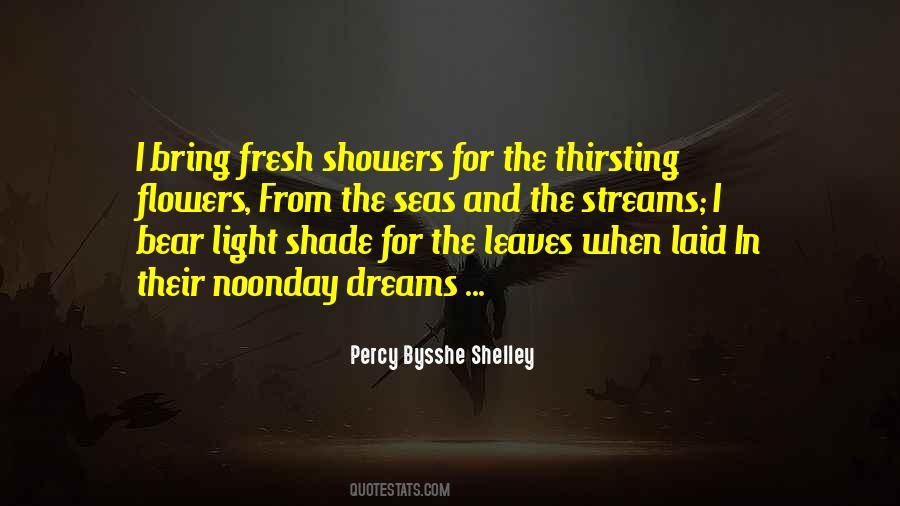 Light And Shade Quotes #159119