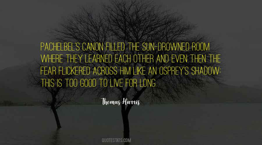 Sun Even Quotes #116167