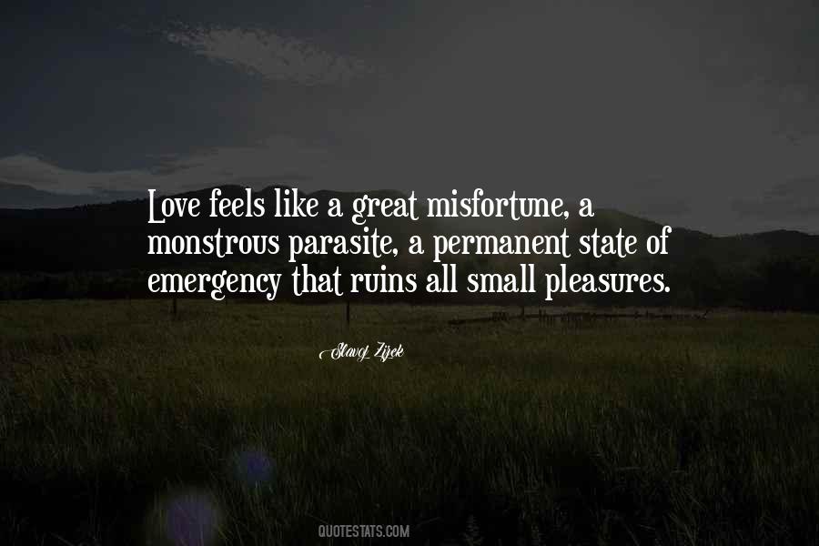 State Of Emergency Quotes #472149