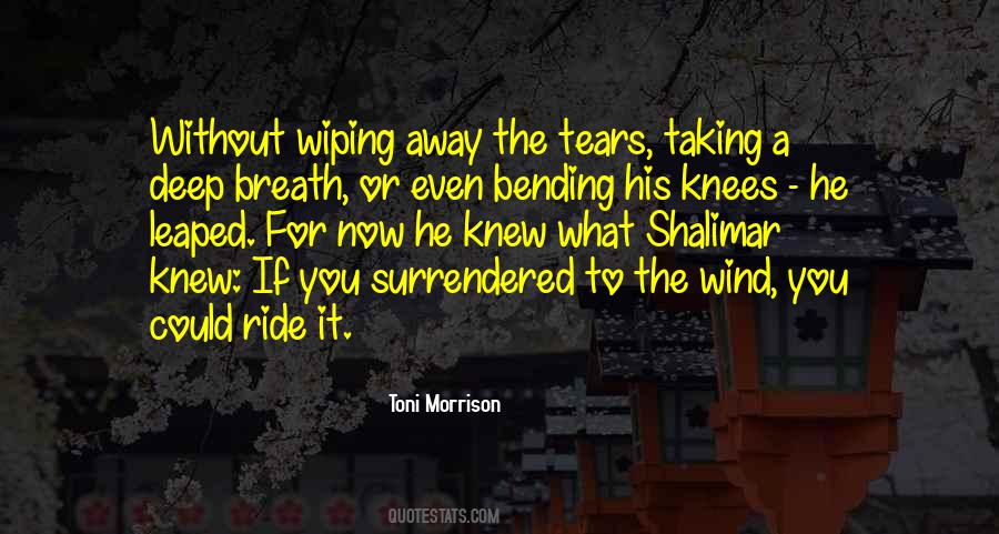 Quotes About Wiping Away Tears #179655