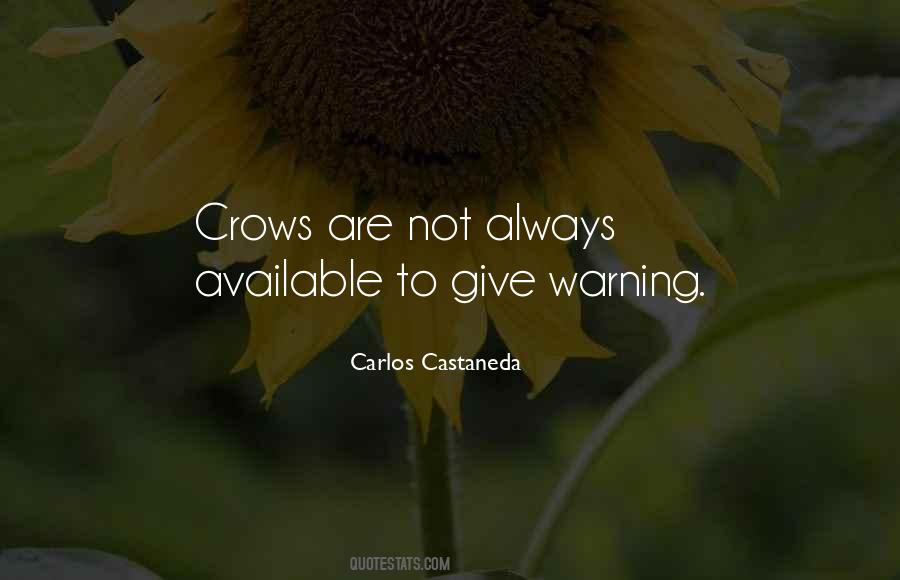 Quotes About Crows #107957