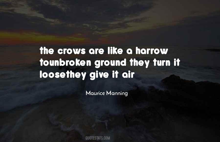 Quotes About Crows #822041