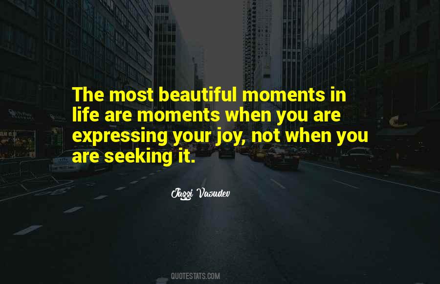 Seeking Joy Quotes #791348