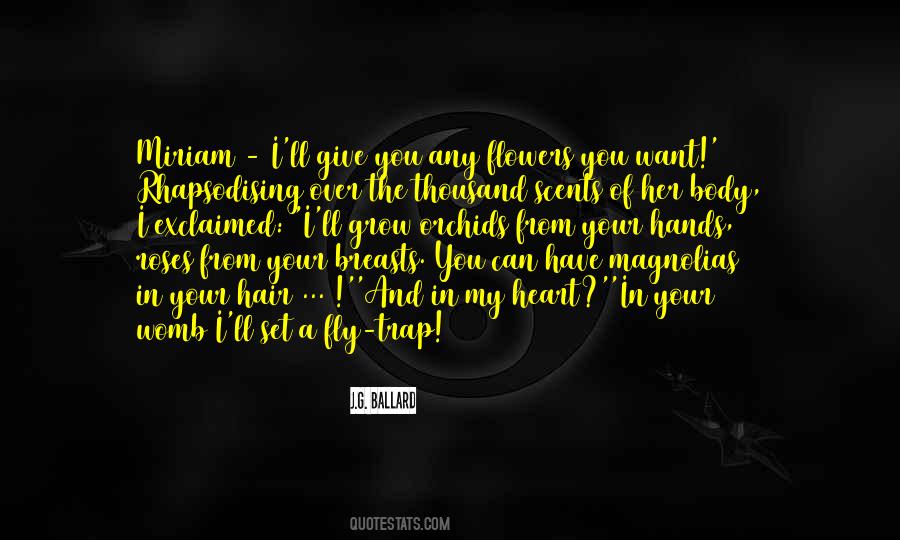 Unlimited Dream Company Quotes #724553