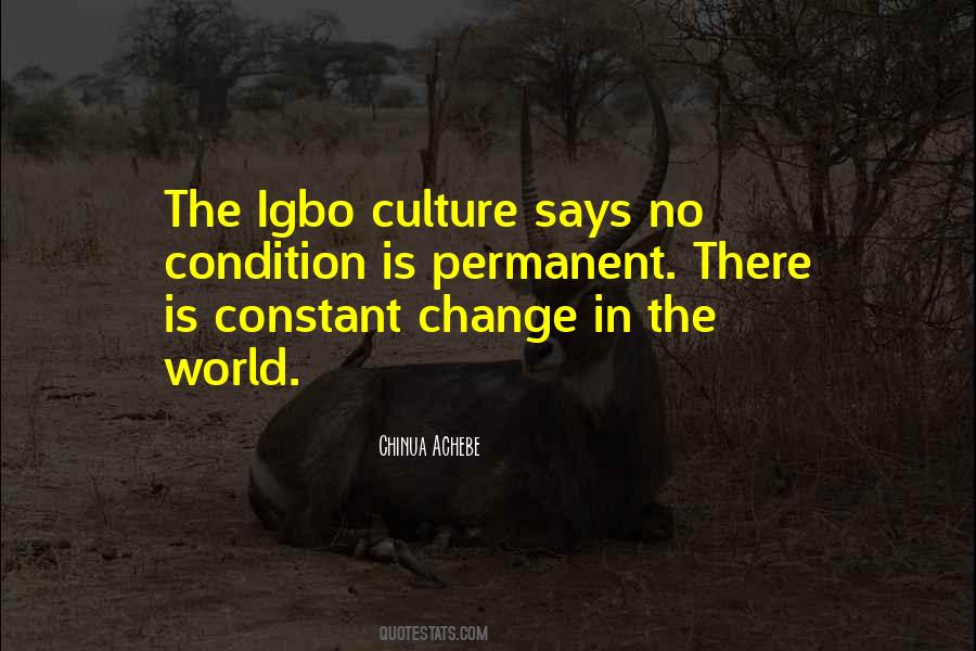 Quotes About Igbo Culture #950007