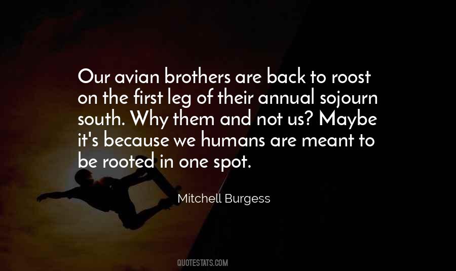 One Spot Quotes #1106025