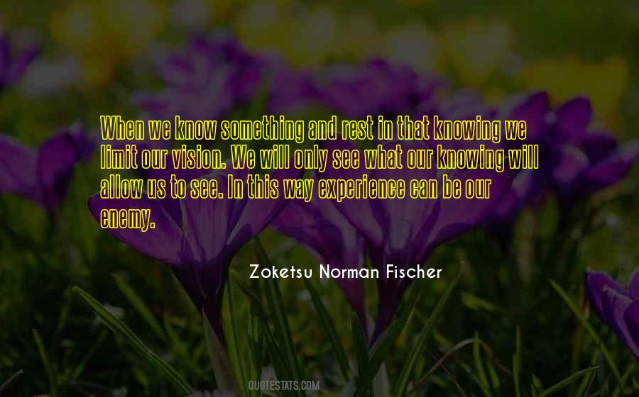 Zoketsu Norman Quotes #463152