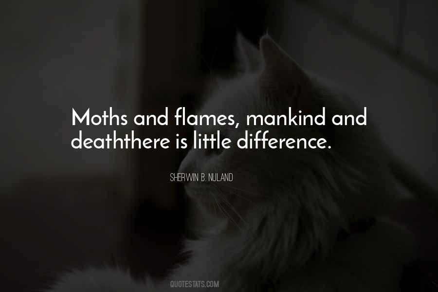 Quotes About Moths #1288758