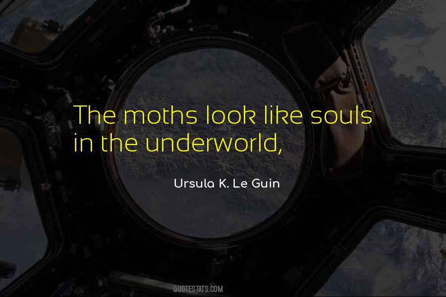 Quotes About Moths #1327411