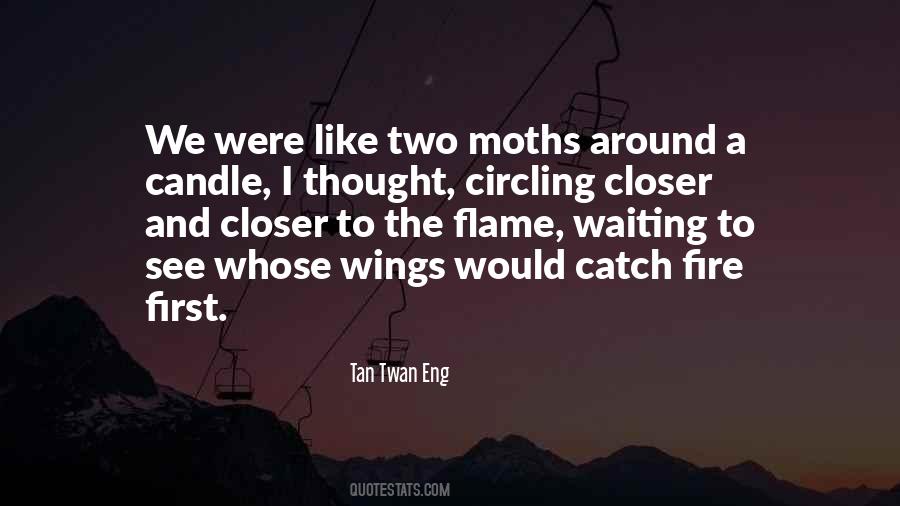 Quotes About Moths #165806