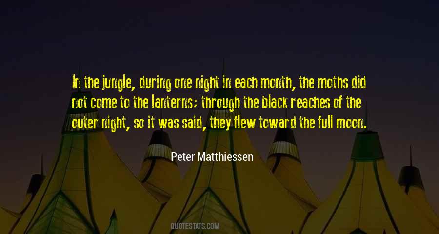 Quotes About Moths #619283
