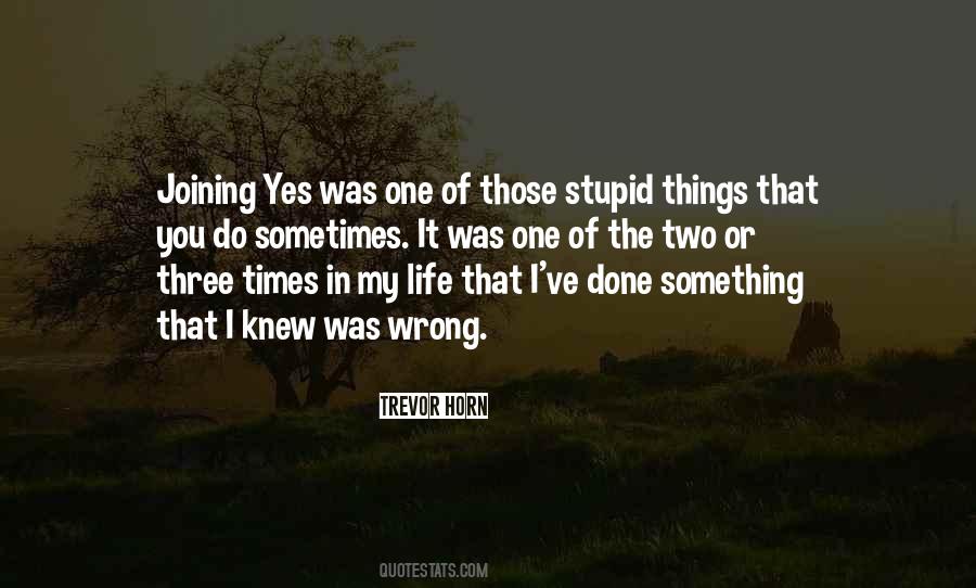 Do Stupid Things Quotes #416814