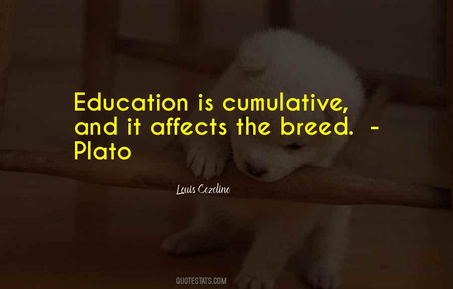 Quotes About Education Plato #1679261