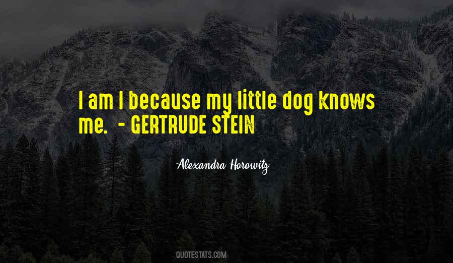 Little Dog Quotes #137526