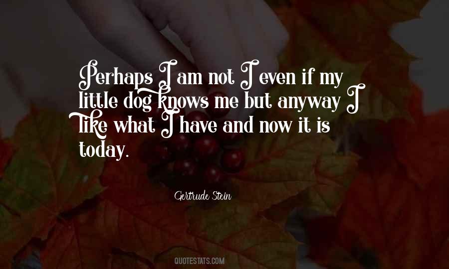 Little Dog Quotes #1507897