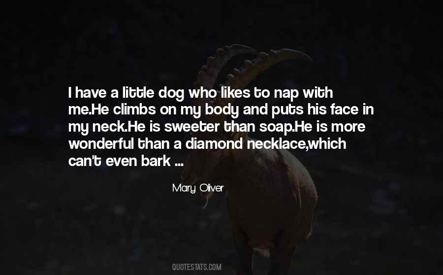 Little Dog Quotes #1748763